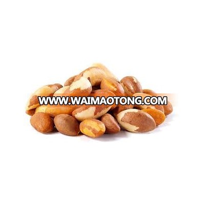 Raw brazil nuts / Brazil nuts Malaysia / Organic Brazil Nuts